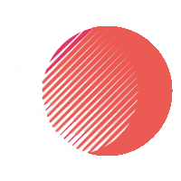 My First Website at Webdox